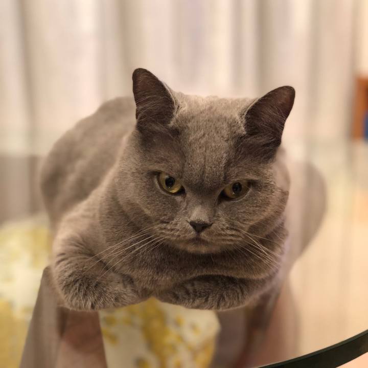 320ede7e 84fb 4035 a3d8 9eb33ecabb3e 1516797058437