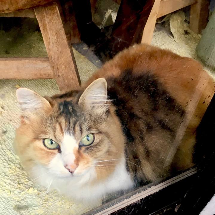 320ee183 9615 4286 983f a624e25eae61 1561086247260