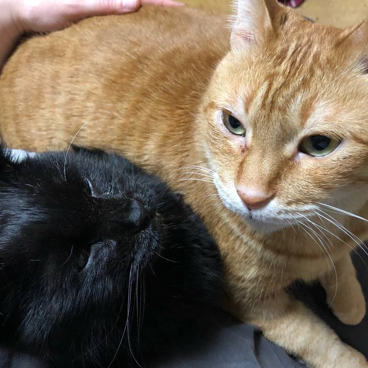 320f5776 d688 4b90 b693 c589b54ebf3a 1645441784019