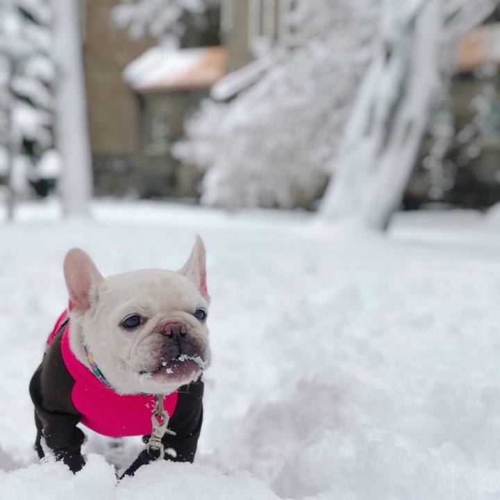 320f6d4b 9550 449a b588 c44d981b61b4 1511063798160