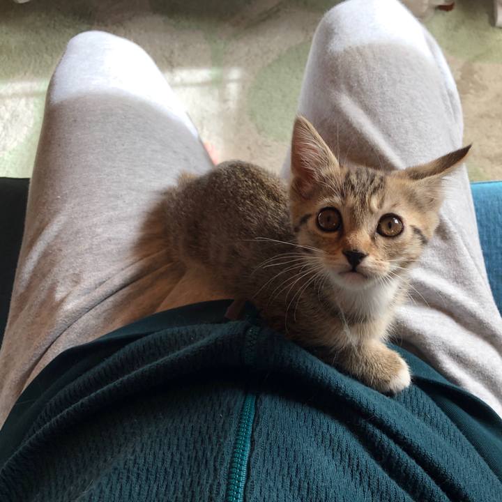 320fbec2 fab2 4e07 a601 bbd7da1f0d62 1542421213059