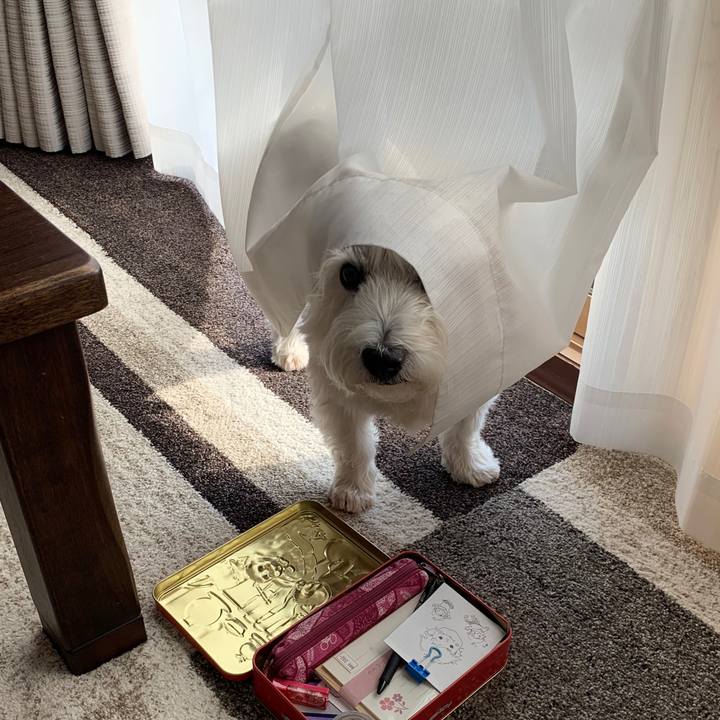 320fe9c3 bda5 4dfe 8df0 5ab75226aa89 1576052024662