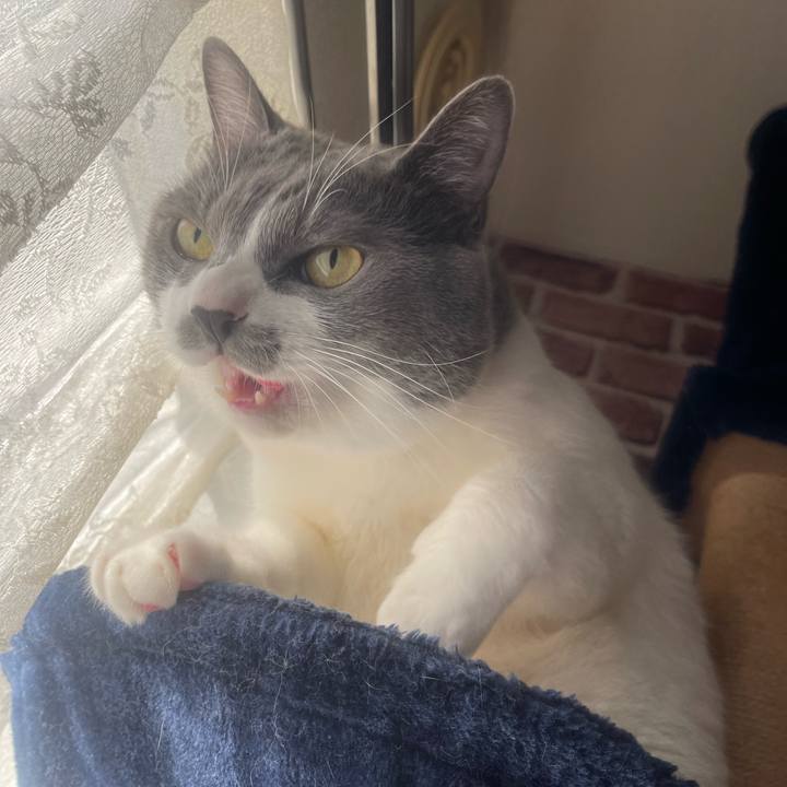 32103a8b 66d6 4dc2 9196 c41810be4760 1729549483497