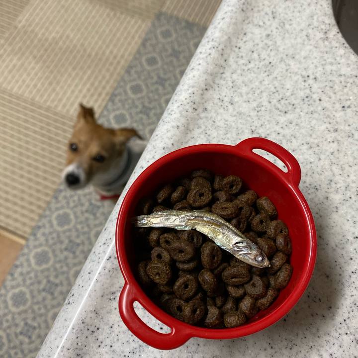 32105a3f 1af1 4631 920f 46a6119d9621 1576626120128