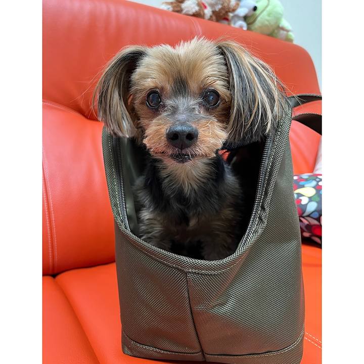 32105e16 4d62 43ea 8bd8 36bdc1540f60 1682742831598