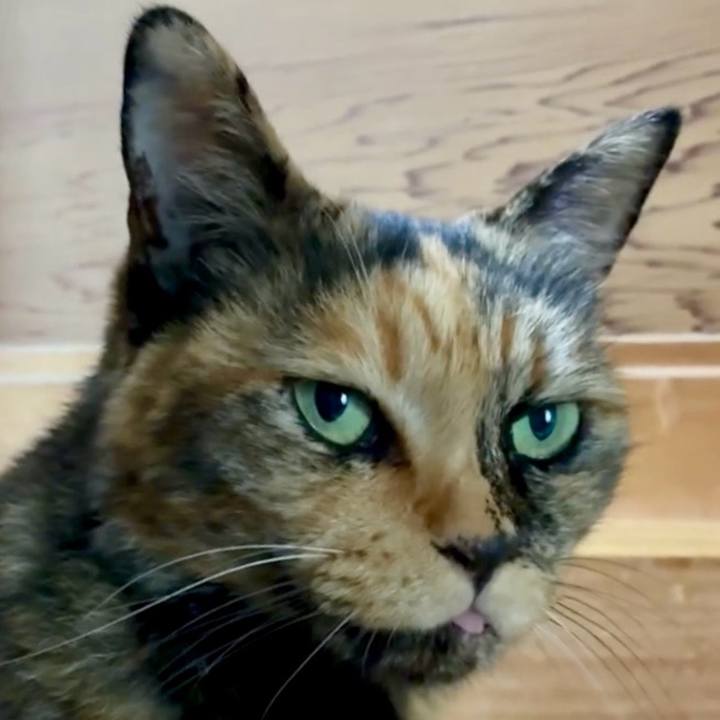 32107134 04bb 4a15 9bdd 63f5e12a46ae 1753925179472