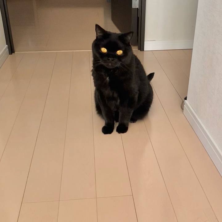 321073f7 86c4 4940 8b74 407a591c5460 1724330405295