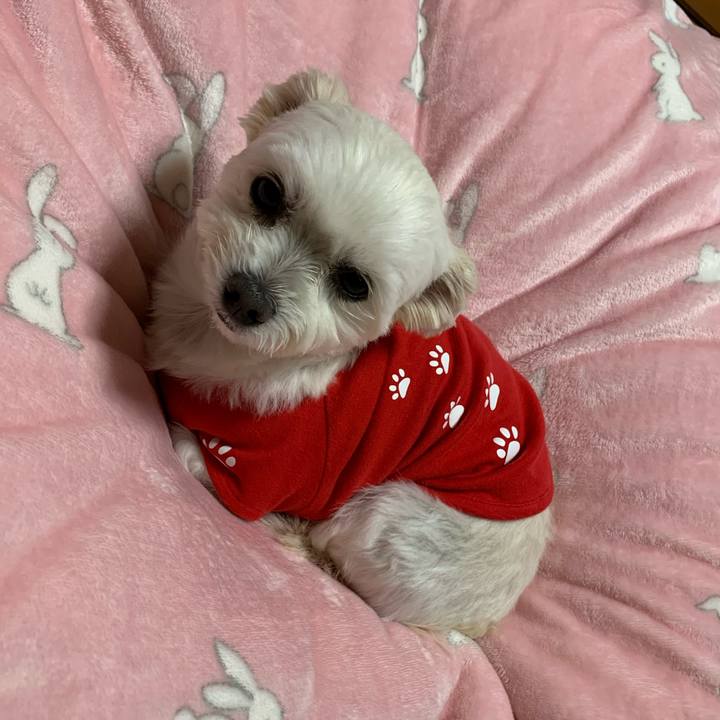 32109df8 cfca 417a 8016 ccc34d285f80 1575370033328