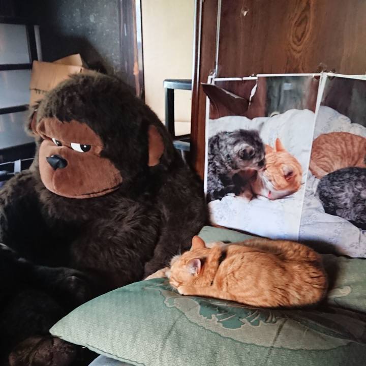 32109f30 94c5 4b51 8108 0c94fe6e37f4 1656803181649