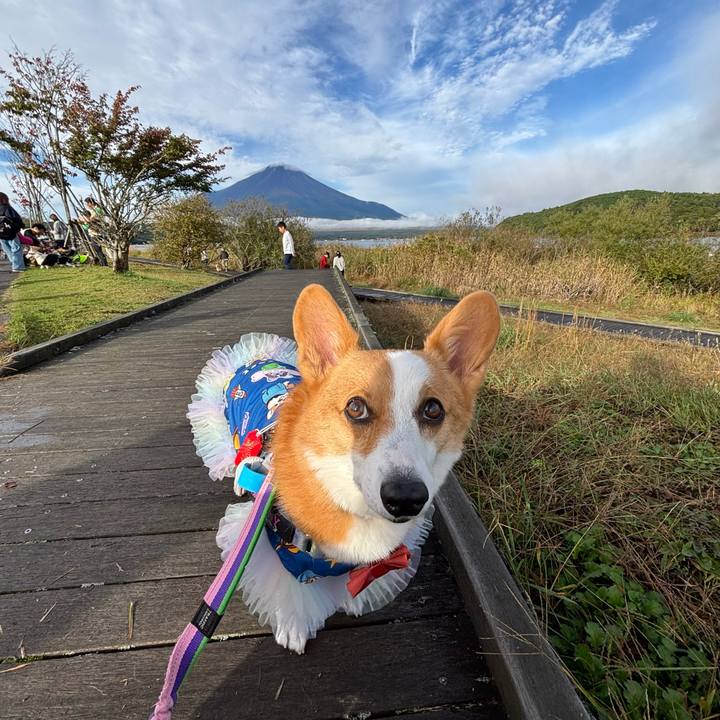 3210a1d0 0543 4233 9808 b5efc32569cc 1760225245874