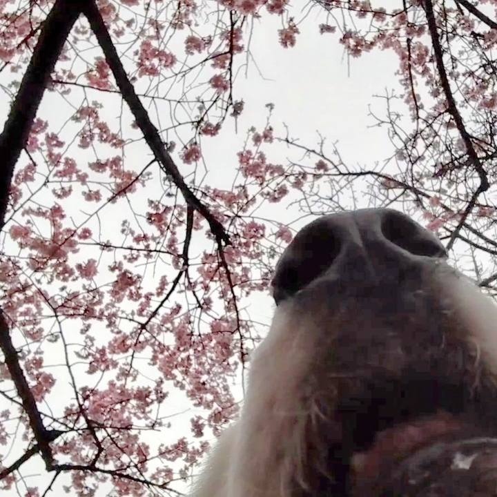 3210f7bb 9ef2 4113 be7e aaa523582420 1678744958988