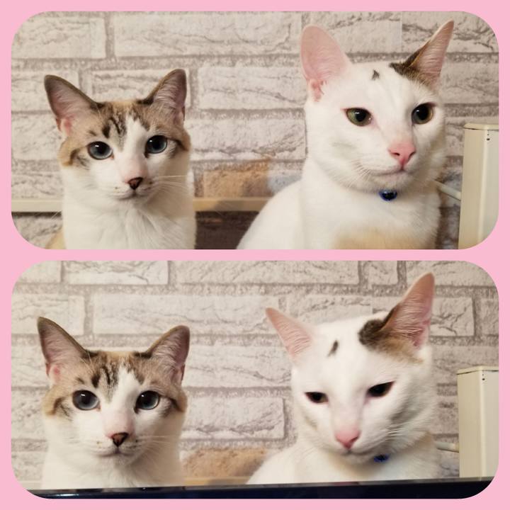 321116ef bc3d 4c8a a9a2 6908c25a5d64 1524657725378