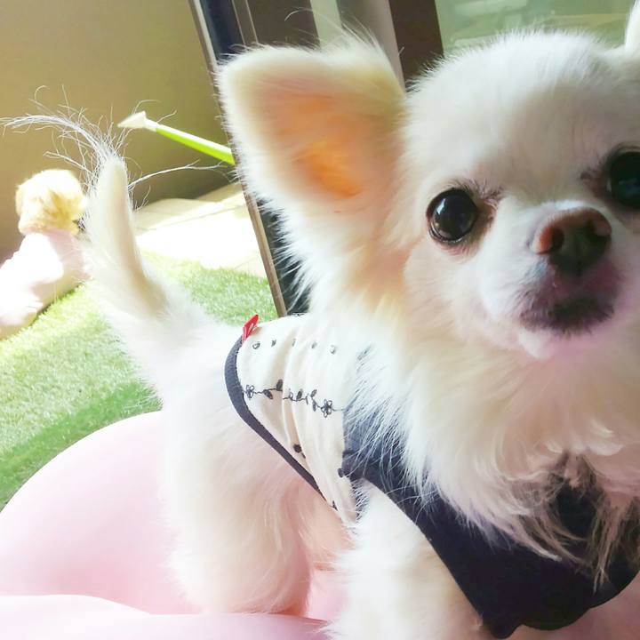 321127fd 6051 4a28 9523 23517408e61c 1525322647962