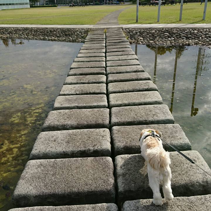 32112a79 deac 4a3e a076 7a3380383781 1541931728754