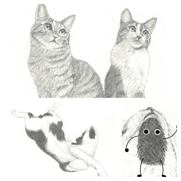 3211560b 7d66 4685 ae2c ede07d19cf76 1539056688202