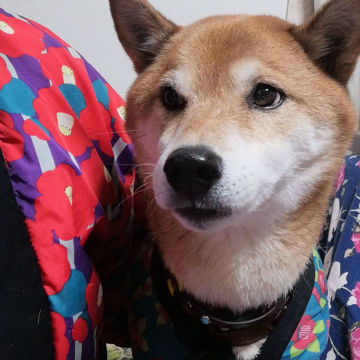 32115895 0c52 4be1 b5a5 0a026f305778 1671883178182