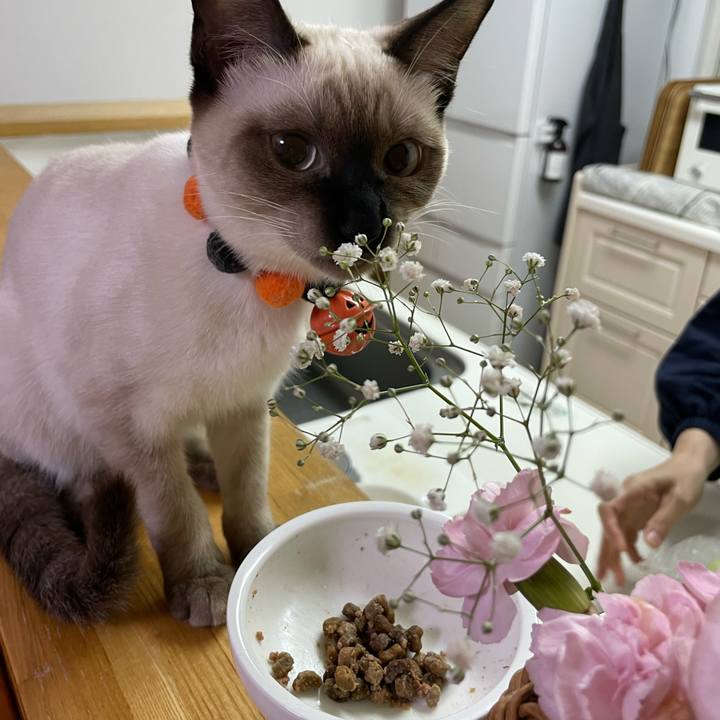 32116f31 d0c2 4c34 811b 4fc80a1929bd 1696712003338