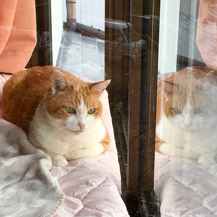 32118dc2 70bb 4f06 ba3e 7d3a6fcec280 1614060288005