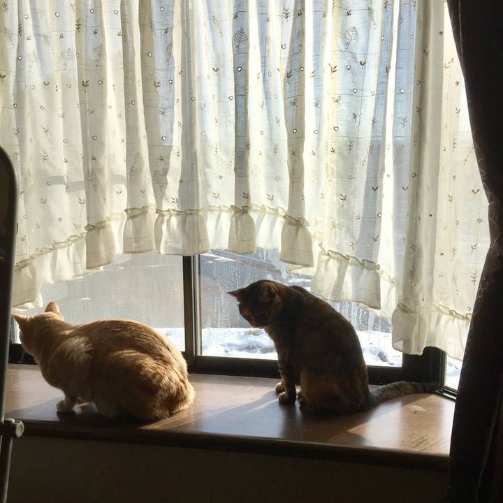 3211a121 00bb 4718 a37c fe05dfa0f308 1511325453372