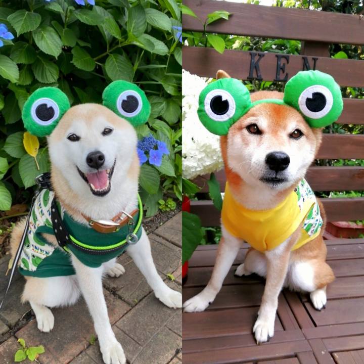 3211e15d 29b2 4836 a9f9 4e04df3efb69 1655689949952