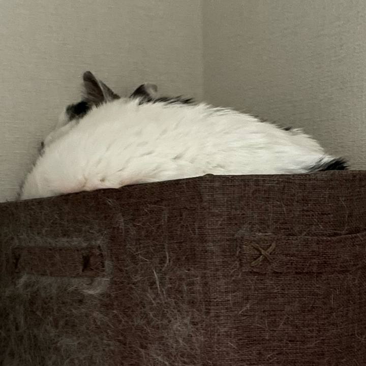 3211ef06 27d4 48ad aeea 66eaf8983995 1747970665718