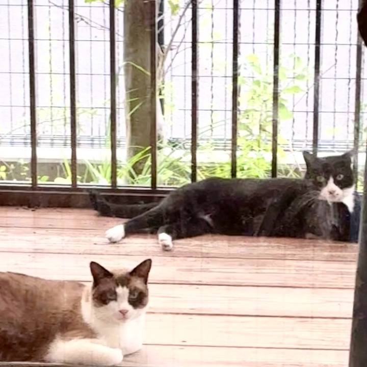 3211fd9a a62f 49e9 b0be 04c3f02a7693 1757246911769