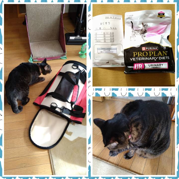 32120f5c 0a54 4438 99f1 9ee0ec288cad 1769228777805