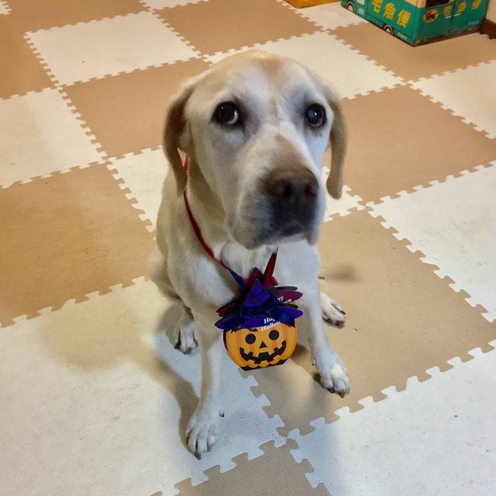 32122560 4a5b 4949 90e3 eaaf4f6dcbad 1569986421108