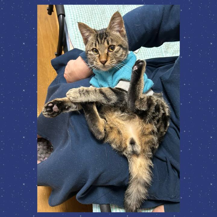 3212301d 4043 4544 bce2 947db0781860 1733613092039