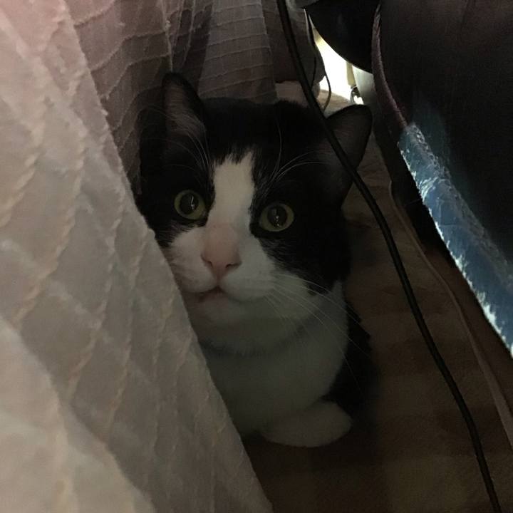 3212399b 5eae 4726 b9e9 29e6ae58997c 1739878868266