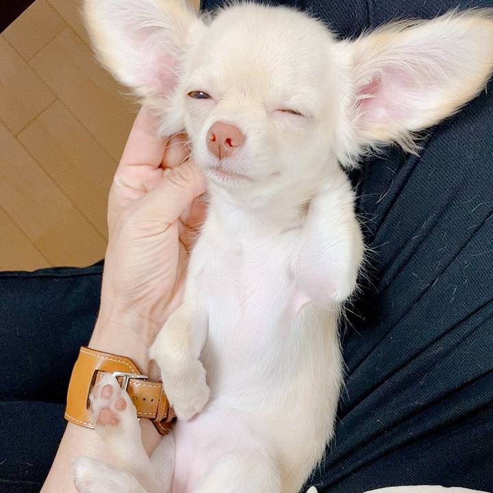 32126046 8ff1 4934 a8b2 df5eb9054ada 1592952496750