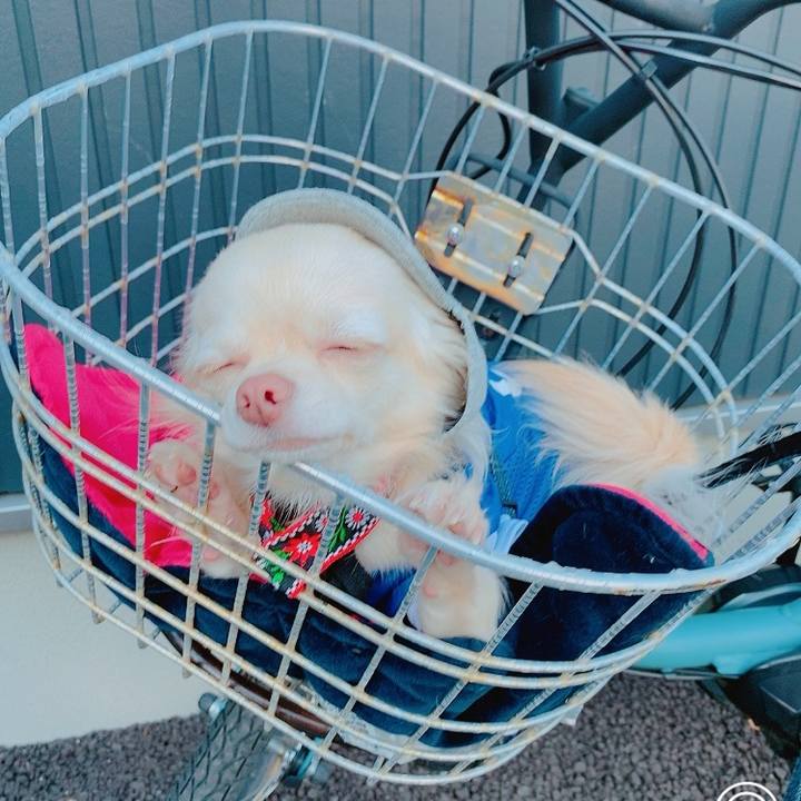 3212922b 0997 4d01 846f 21491b0c7de6 1626697297346