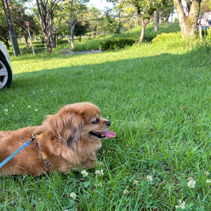 3212b698 3143 42ad ae82 6c0ef381672b 1751150193151