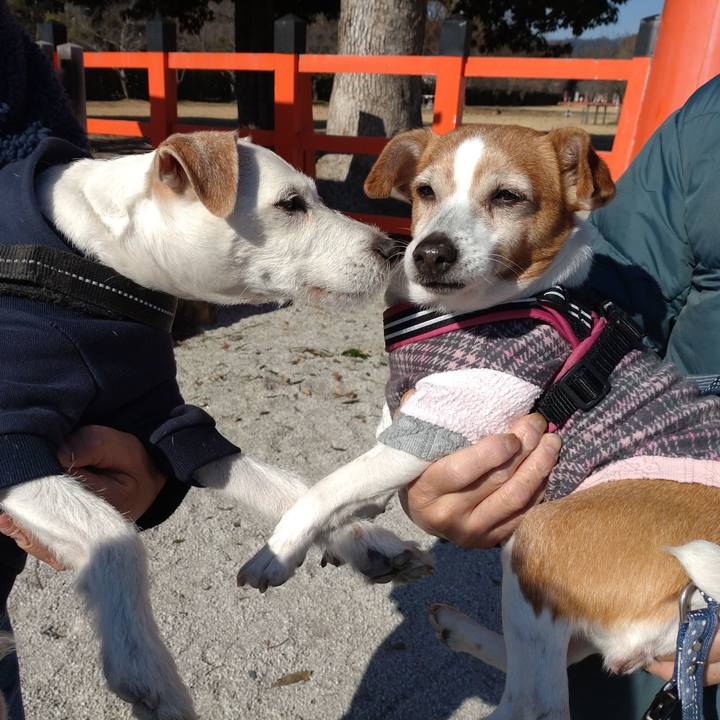 3212c64e 7a31 48a9 9fea 32f717df8ecc 1766996256436