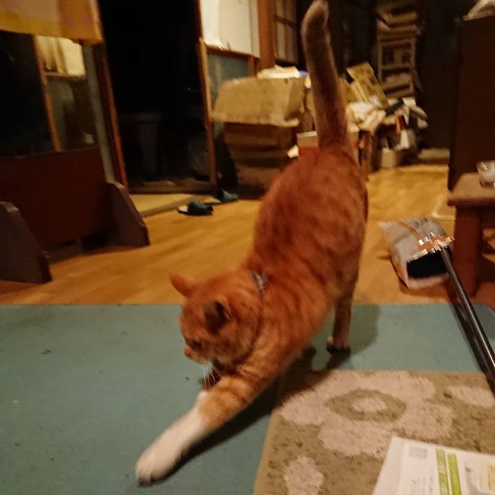 3212f4ae 6c66 4086 8693 e4421879b2ca 1575629708823