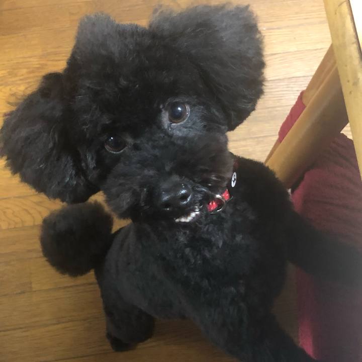 3212f9a7 59ad 4a9f 94d5 295b355dcf83 1583043898725