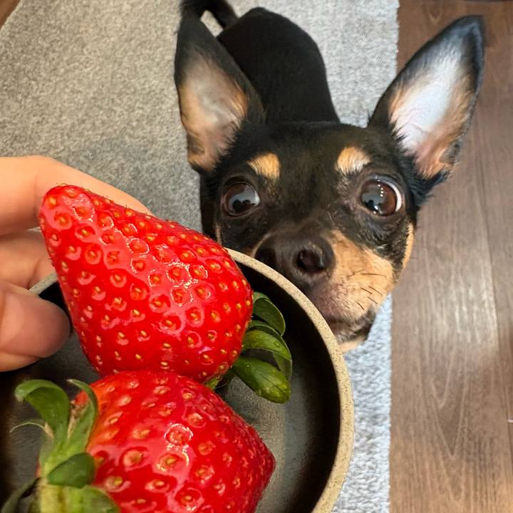 321329de 8796 4e45 930a 58612cfd1684 1773012740492