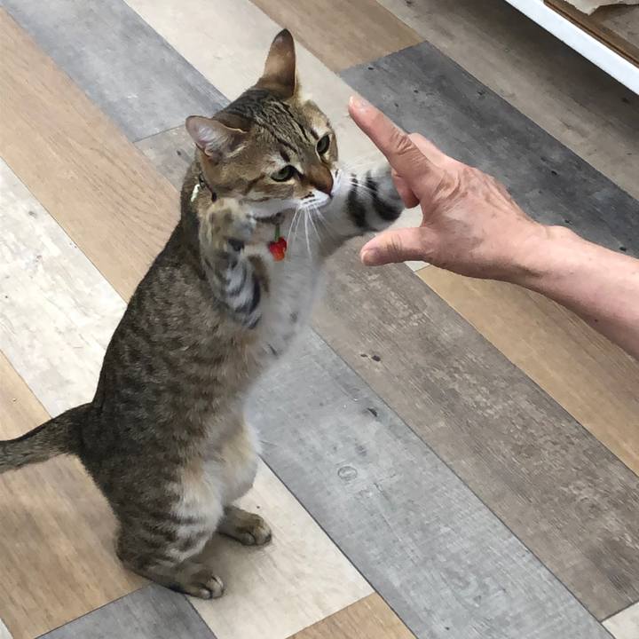 32133f3c 2624 4c91 b1c8 9e58472cf705 1648273962047