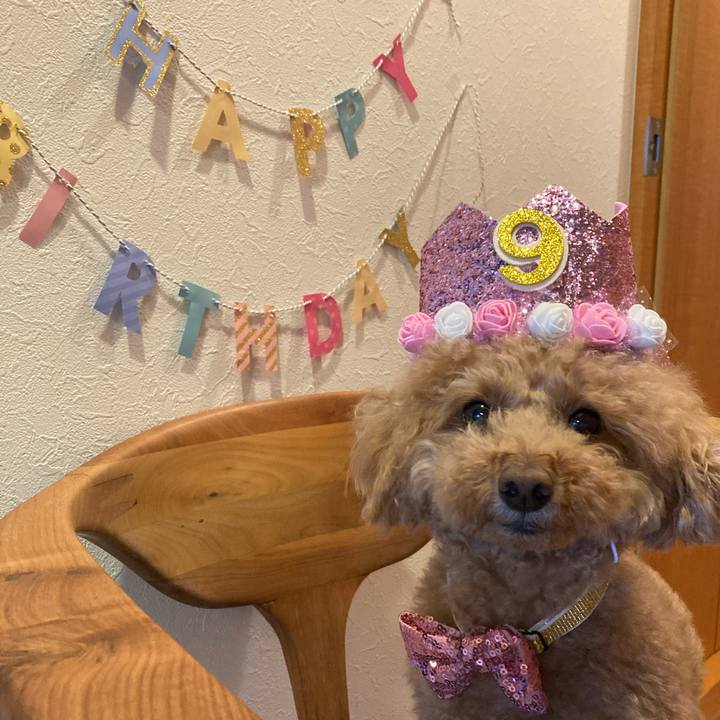 32134962 bc52 4415 8f10 f4b1e8c7b54f 1650014839066