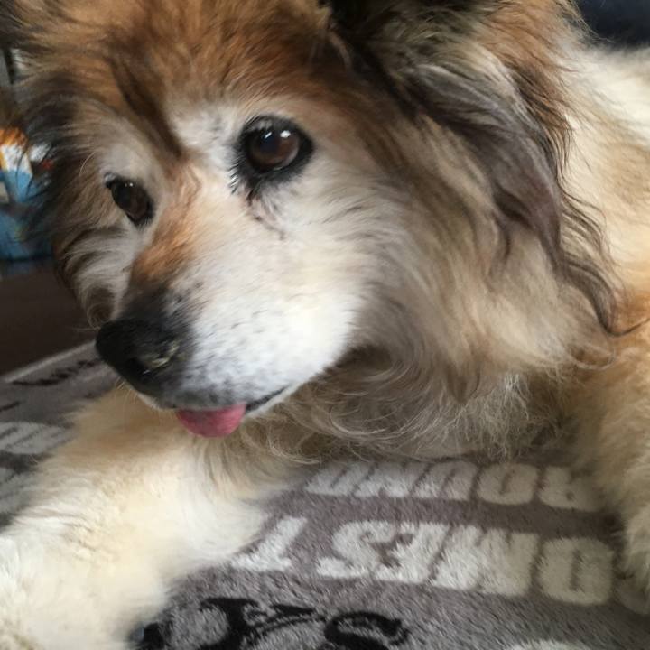 321369e9 56f6 4263 a369 54920e2f5b81 1589360756390