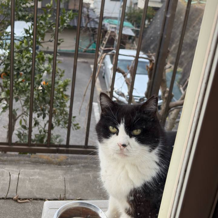 3213cb3d 6647 4fa0 8619 f62078d857ef 1771897118531