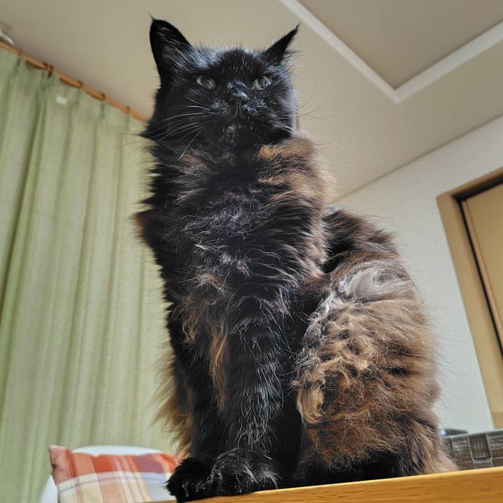 3213f3bf e951 4bcd 9a7c f00375f5cd2d 1774784416918