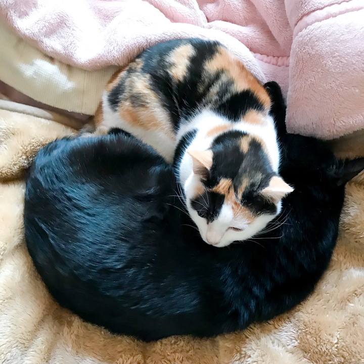 32140beb 85c4 4196 bdf3 edaf261b4b77 1515681700129