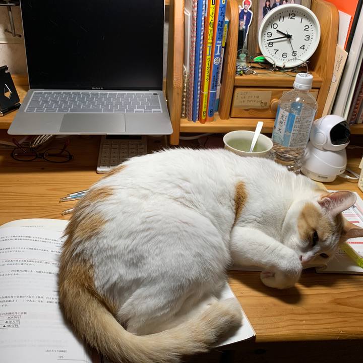 32140df5 ebd8 4865 b237 7892aae78b3b 1647175279223