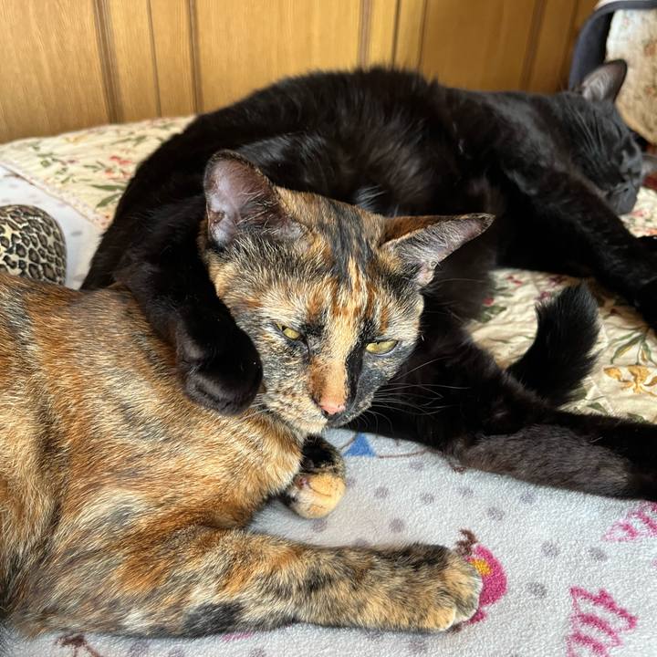 32141ce7 ba73 4b4d b3a2 d4db0b847ca5 1659137441593