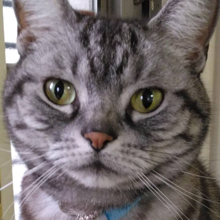 32142b64 8b92 4c6e 9c9b 421d338f91c9 1758634098167