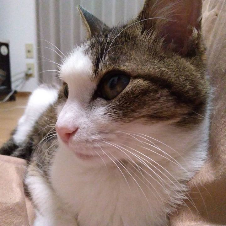 321448ff 0115 4dc3 9d6b 1ef39e98a496 1518693984053