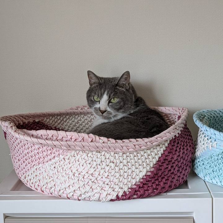 32145e36 f543 4fa5 88d3 68649f741458 1751679993278