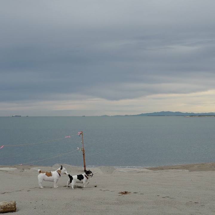 32149113 efb7 4012 818c 54f7f7ed2fda 1541734199464