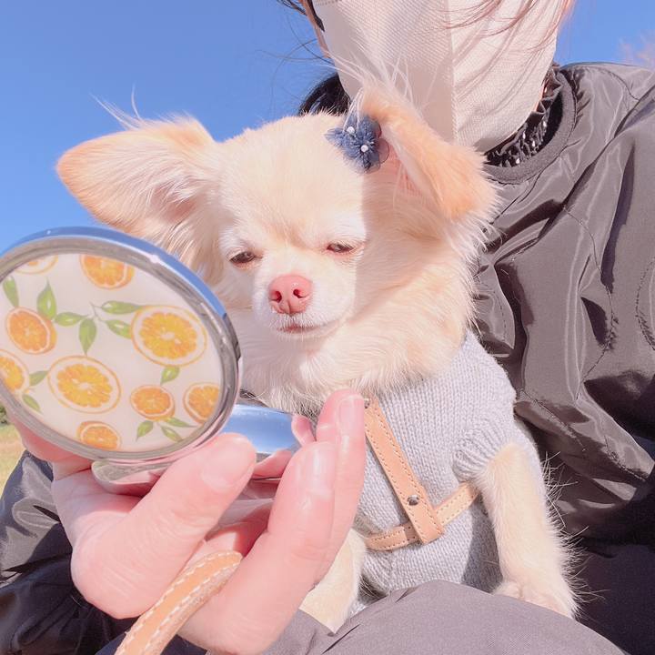 32149835 5bf0 48db ab28 0b2ad32d1344 1676443935080